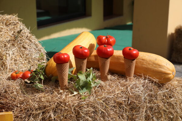 Festa del Pomodoro riccio esposizione