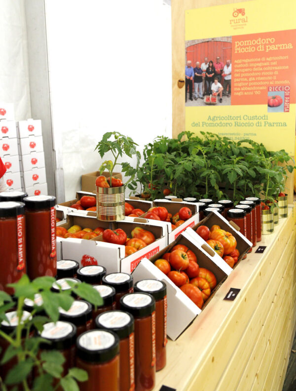 Stand Pomodoro Riccio Rural Festival Gaiole in Chianti