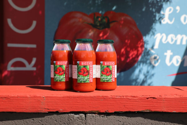 Passata biologica di pomodoro Riccio di Parma