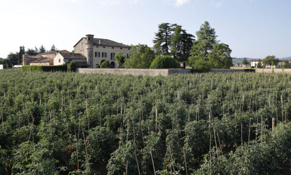 Campi Riccio di Parma a Panocchia