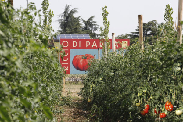 Centrale della Frutta campo di Riccio di Parma